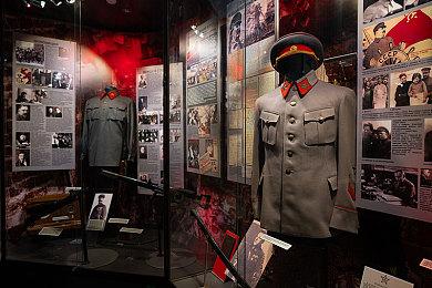 马里奥你怎么回事？身穿马里奥服装的球迷因冲突被捕